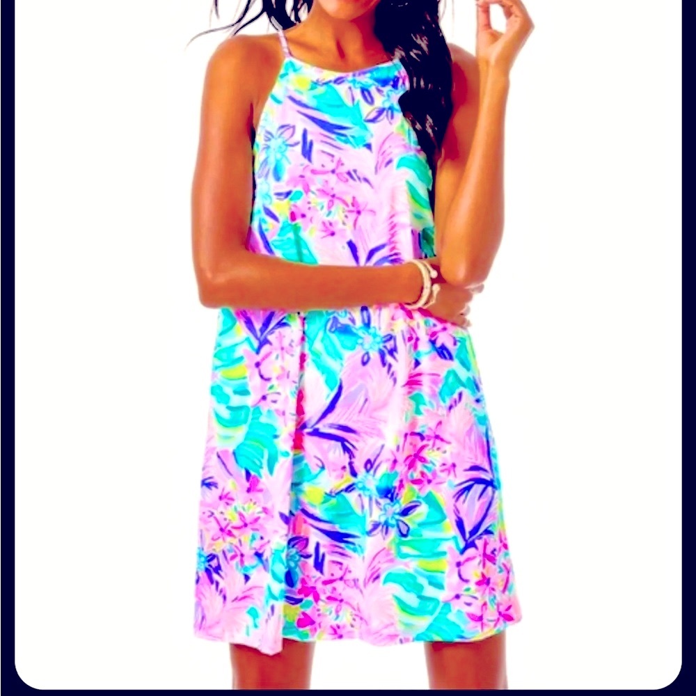 Lilly Pulitzer Margot A line Swing Dress XL/ XXLin It Was All A Dream Floral
